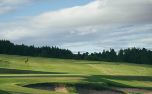 Golf Course with a green and a few bunkers